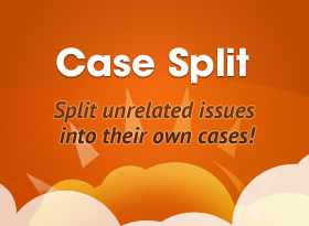 Case Split