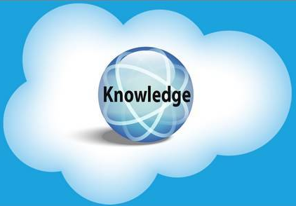 Salesforce Knowledge Article